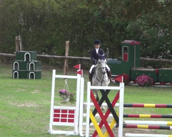 Reitturnier Würselen-Pley 2018