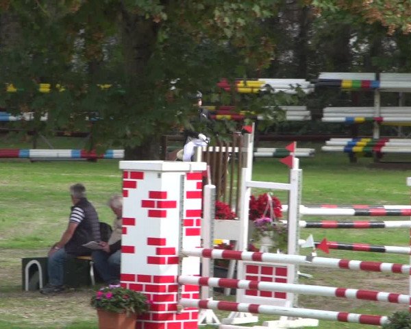 Reitturnier Würselen-Pley 2018