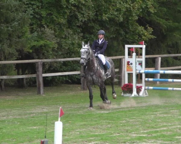 Reitturnier Würselen-Pley 2018