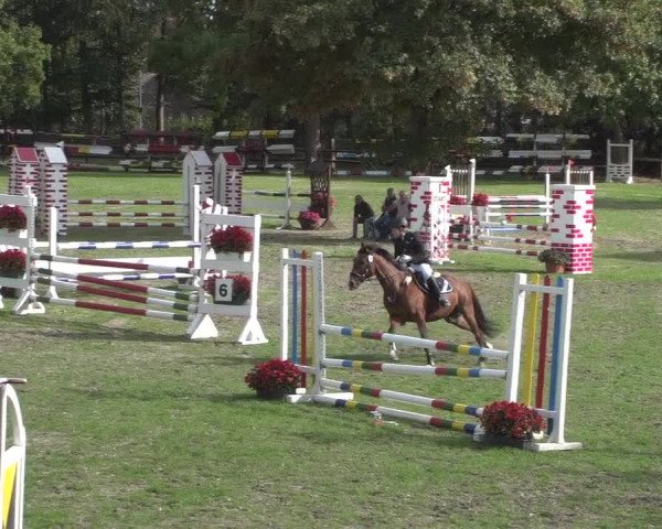 Reitturnier Würselen-Pley 2018