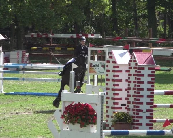 Reitturnier Würselen-Pley 2018
