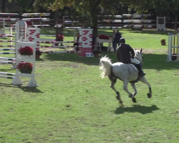 Reitturnier Würselen-Pley 2018