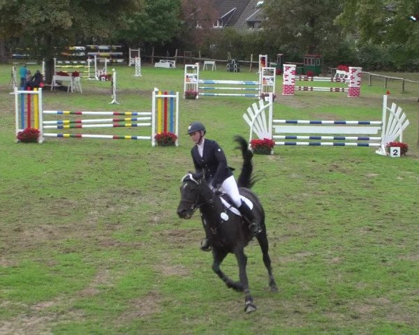 Reitturnier Würselen-Pley 2018