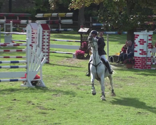Reitturnier Würselen-Pley 2018