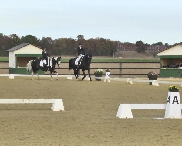Mieler Reitkultur 2018