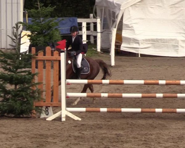 Reitturnier Looper Holz 2018