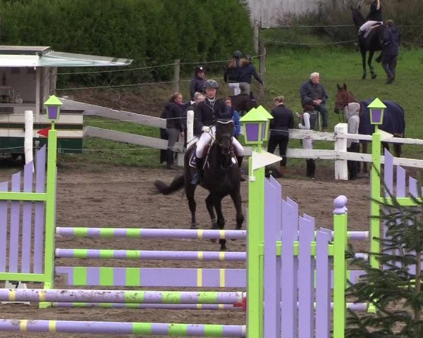Reitturnier Looper Holz 2018