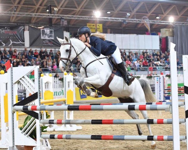jumper Beautiful Bright Eyes WE (German Riding Pony, 2003, from Lady's Wise Guy)