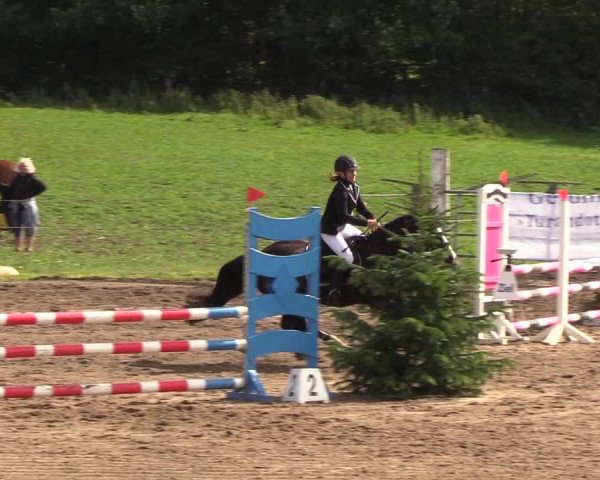 Reitturnier Looper Holz 2018