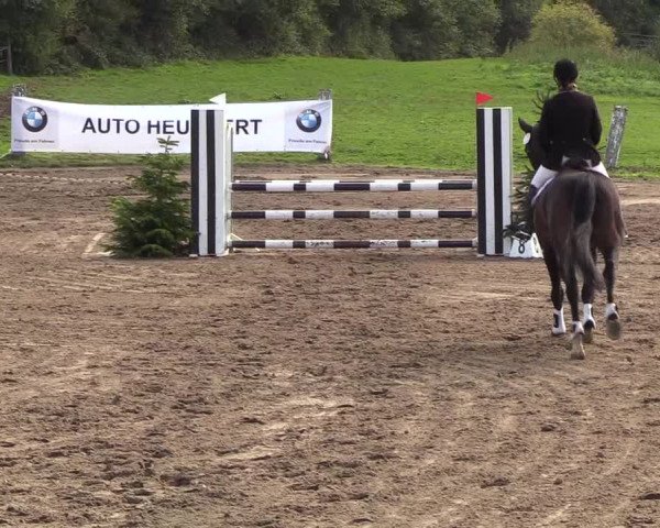 Reitturnier Looper Holz 2018