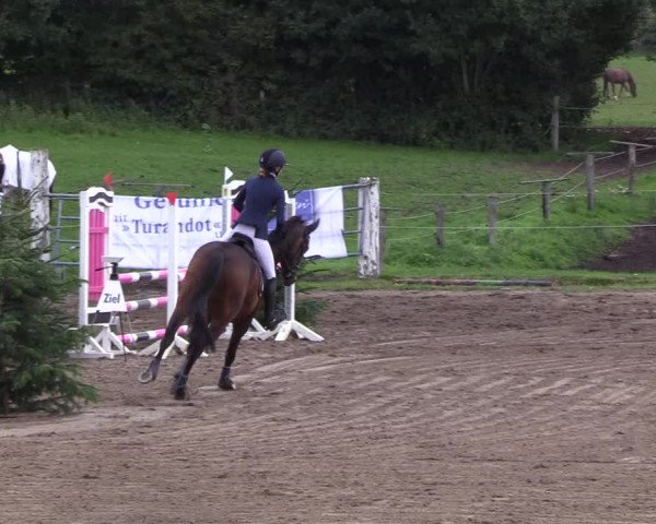 Reitturnier Looper Holz 2018