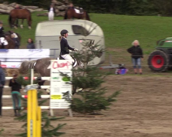 Reitturnier Looper Holz 2018