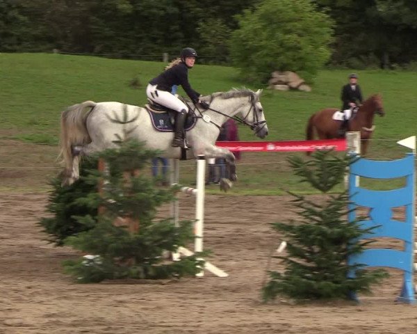 Reitturnier Looper Holz 2018