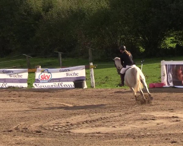Reitturnier Looper Holz 2018