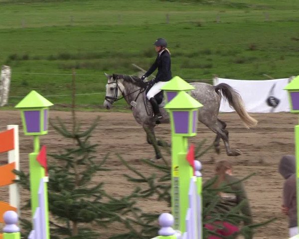 Reitturnier Looper Holz 2018