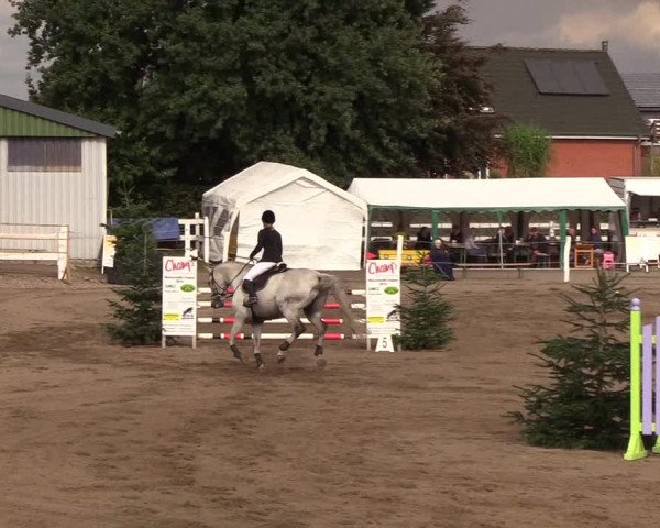 Reitturnier Looper Holz 2018