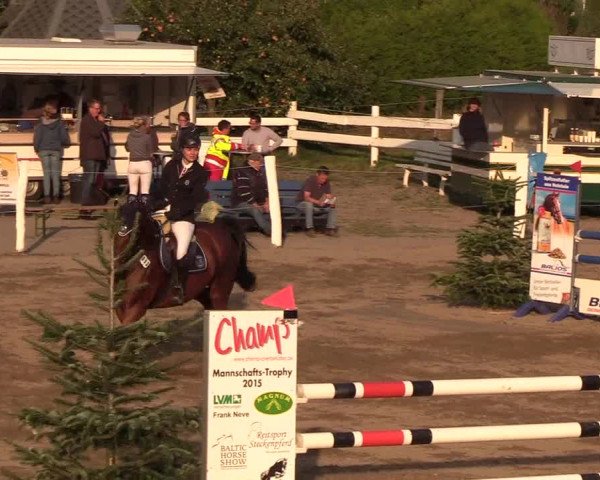 Reitturnier Looper Holz 2018