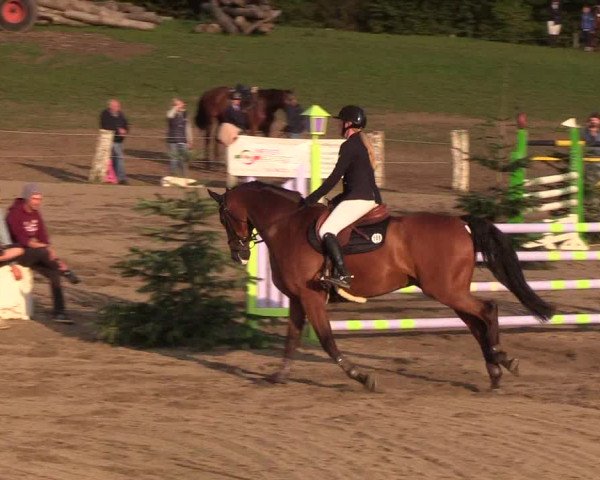 Reitturnier Looper Holz 2018