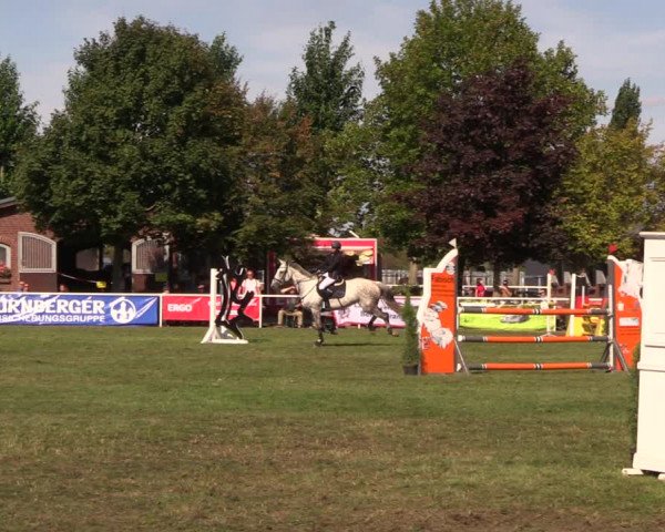 17. Reitertage Münchehofe