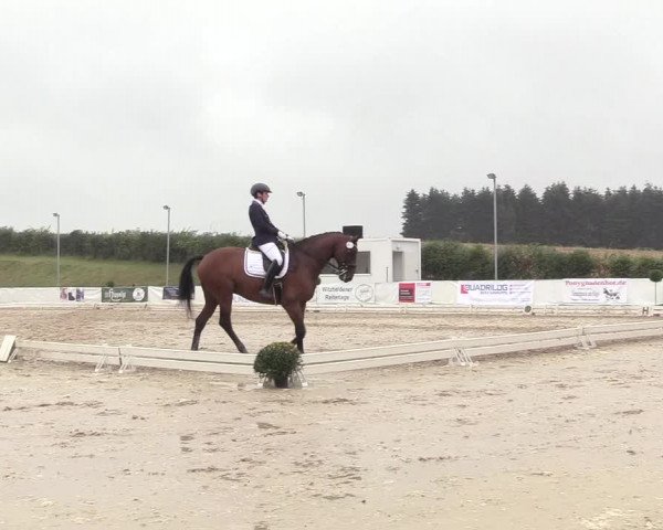 Witzheldener Reitertage 2018