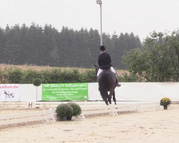 Witzheldener Reitertage 2018
