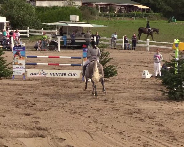 Reitturnier Looper Holz 2018