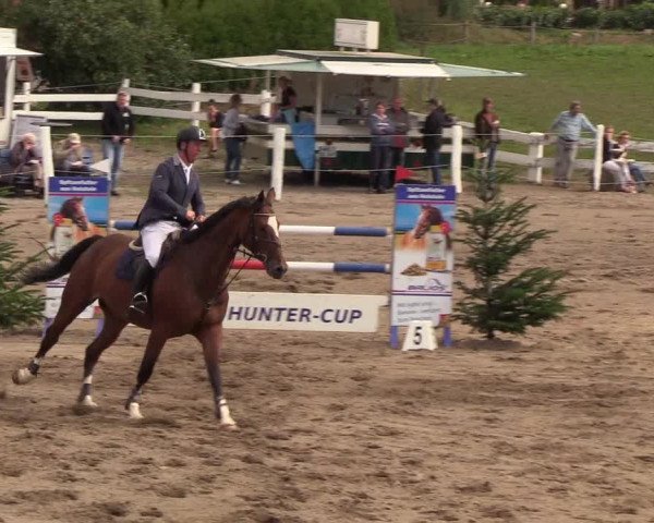 Reitturnier Looper Holz 2018