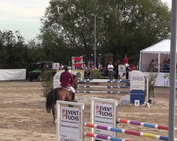 Witzheldener Reitertage 2018