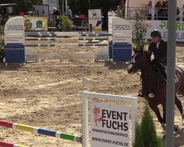 Witzheldener Reitertage 2018
