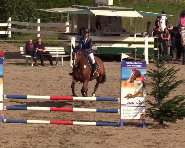 Reitturnier Looper Holz 2018
