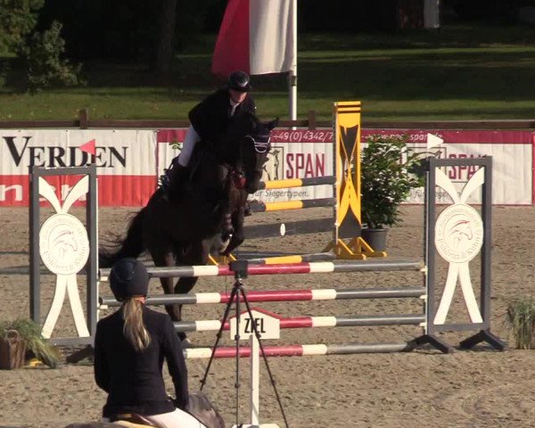 Reitturnier Westergellersen 2021