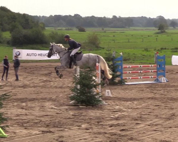 Reitturnier Looper Holz 2018