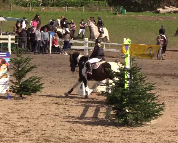 Reitturnier Looper Holz 2018