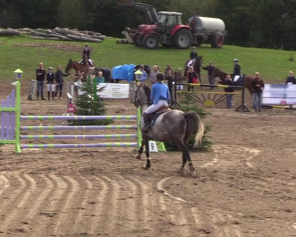 Reitturnier Looper Holz 2018
