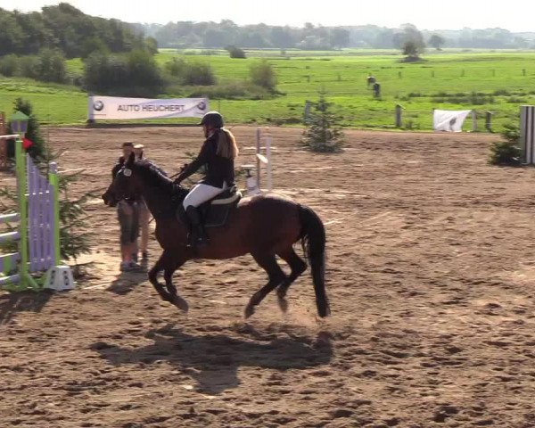 Reitturnier Looper Holz 2018