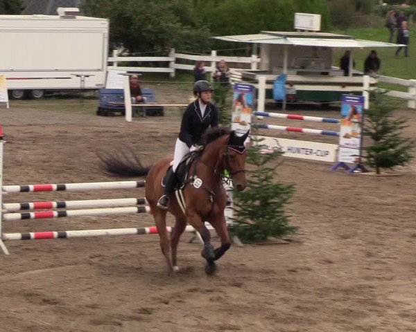 Reitturnier Looper Holz 2018