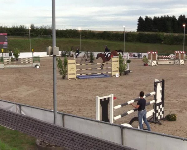 Witzheldener Reitertage 2018