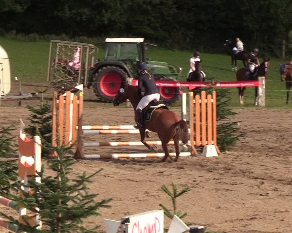 Reitturnier Looper Holz 2018