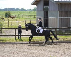 stallion First Pleasure (German Riding Pony, 2006, from For Kids Only)