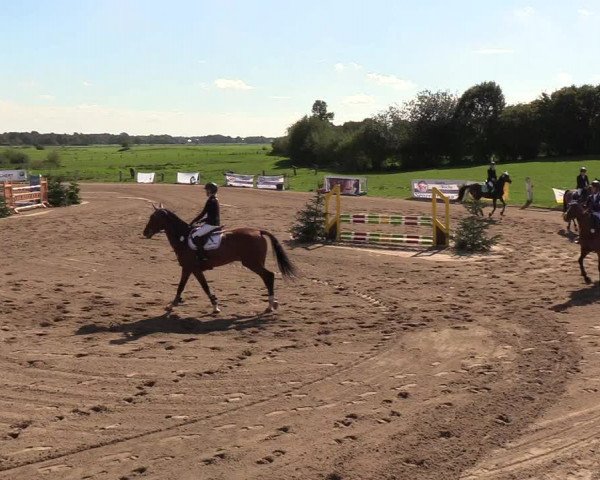 Reitturnier Looper Holz 2018