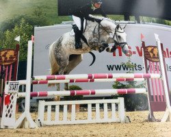 Springpferd Nogadisha CH (Westfale, 2012, von Numero Uno)