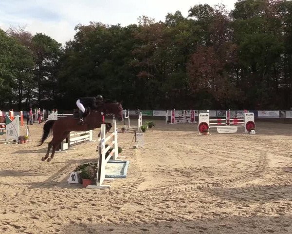 Reitturnier Meinerzhagen 2018