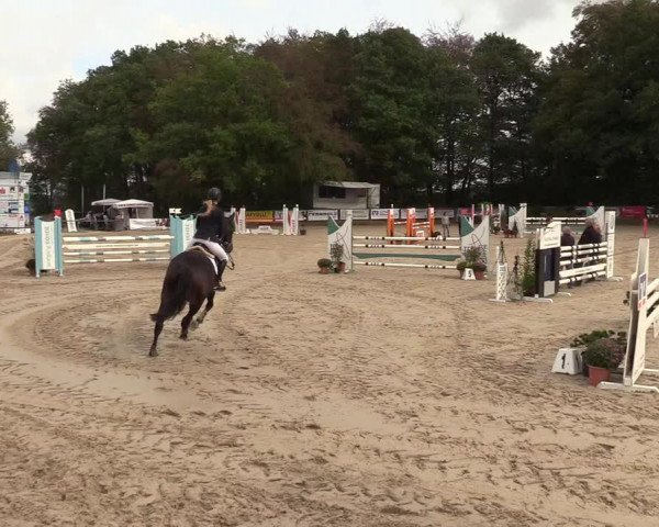 Reitturnier Meinerzhagen 2018