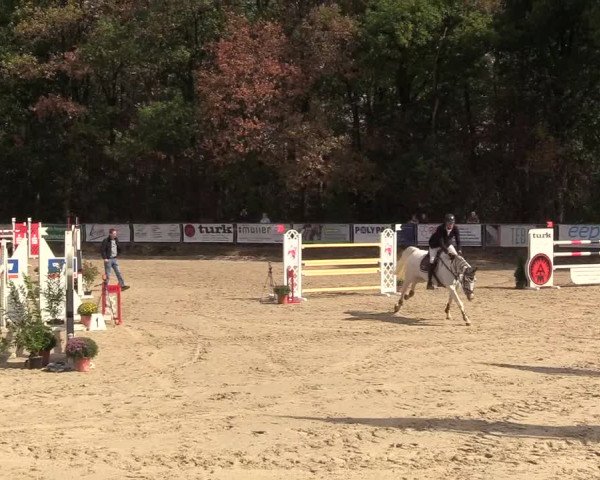 Reitturnier Meinerzhagen 2018