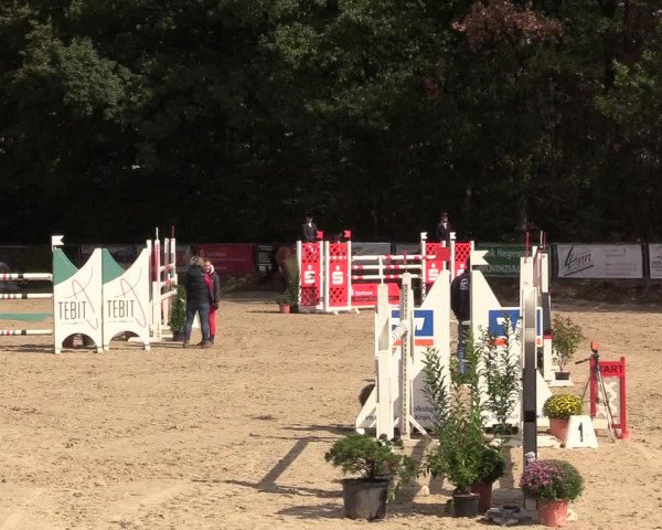 Reitturnier Meinerzhagen 2018