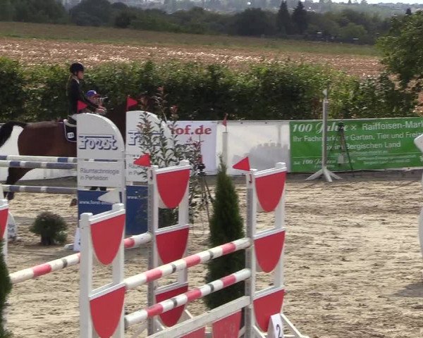 Witzheldener Reitertage 2018