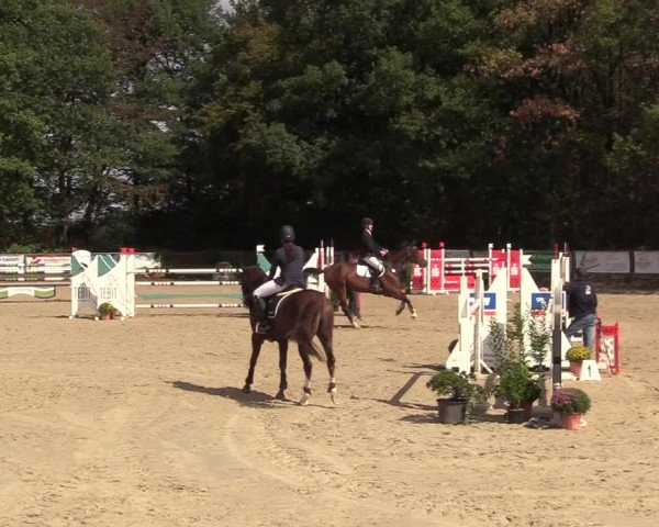 Reitturnier Meinerzhagen 2018