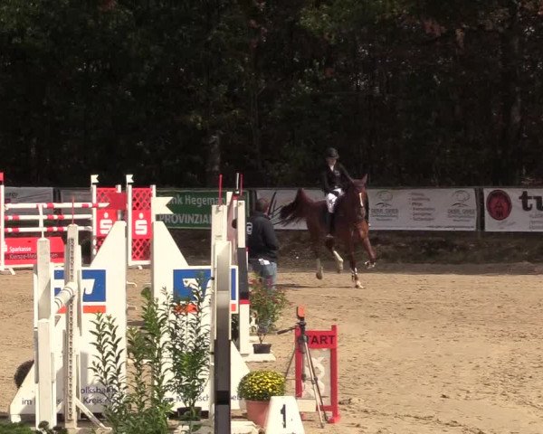 Reitturnier Meinerzhagen 2018