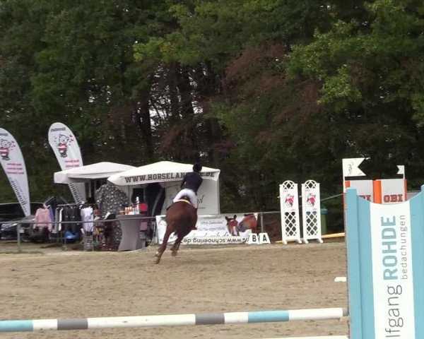 Reitturnier Meinerzhagen 2018