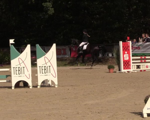 Reitturnier Meinerzhagen 2018